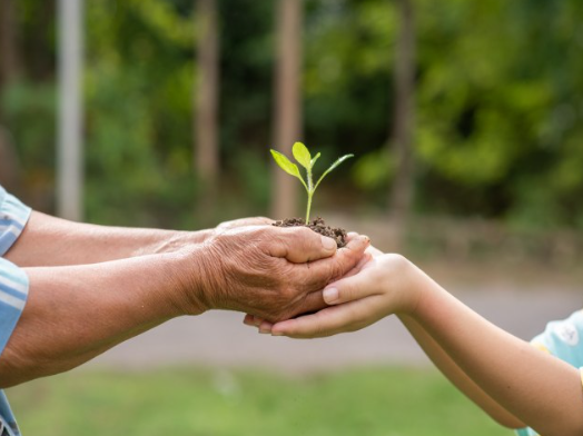 Semana do Meio Ambiente em Jaguaruana terá ações e atividades de conscientização sobre natureza e sustentabilidade